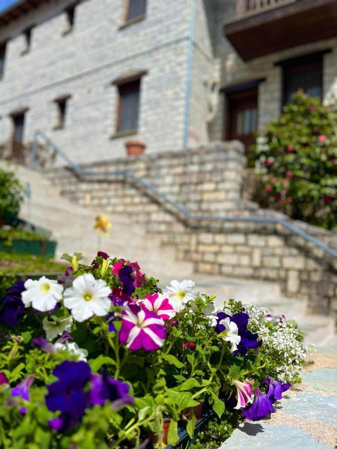 Giagia Evgenia Hotel Vitsa ภายนอก รูปภาพ